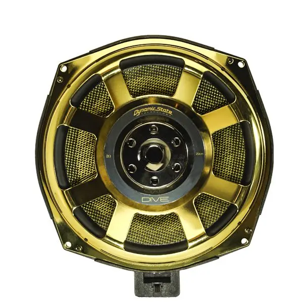 Dynamic State DSW-BMW202G