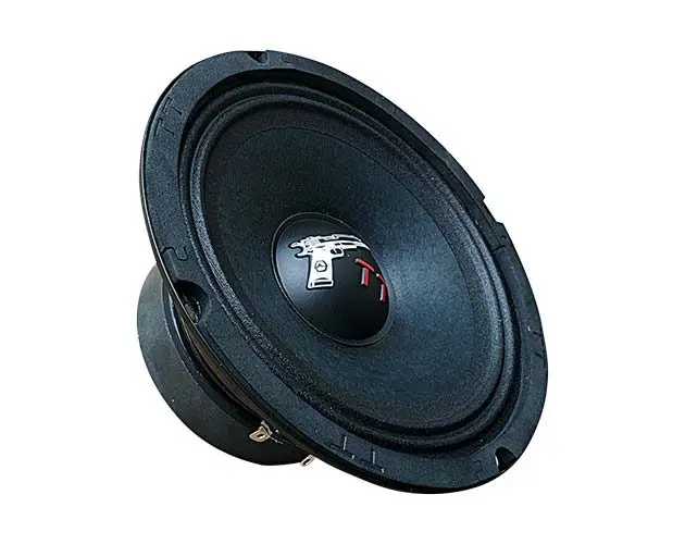 Акустика Среднечастотная АС УРАЛ TT 165. 16.5 см (6.5 дюйм.), Мощность динамиков 110 Вт (номинальная), 220 Вт (максимальная).