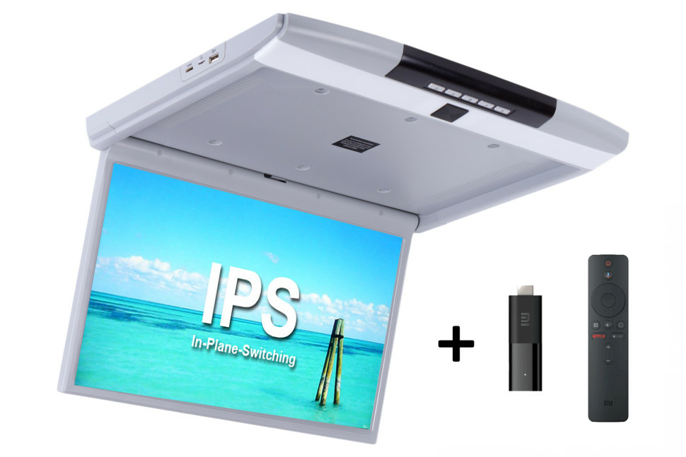 ERGO ER17SA IPS серый (Xiaomi Mi TV Stick)