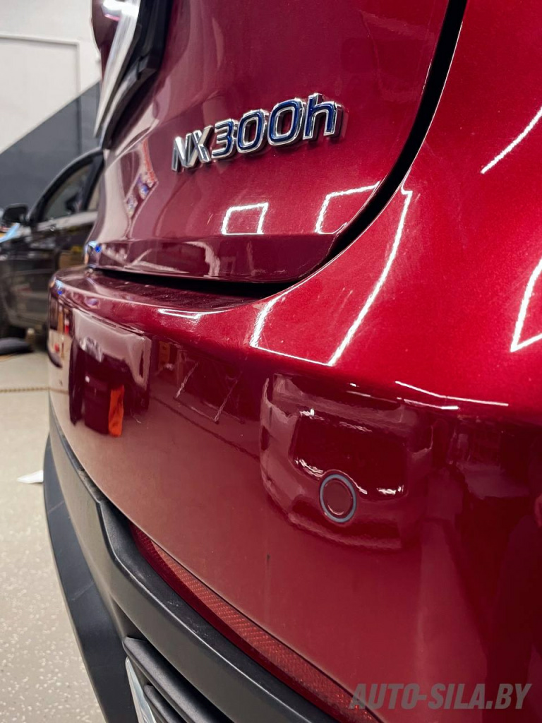 парктроники в задний бампер в Lexus NX 300h